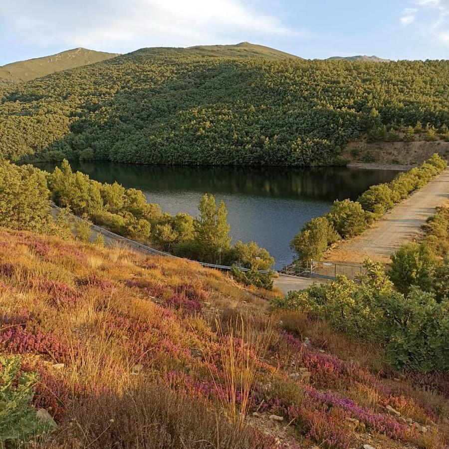El Mirador Del Hayedo Villa Riofrio de Riaza Dış mekan fotoğraf